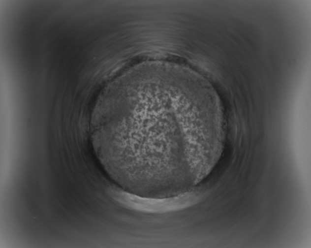 X0000087420034200705041316