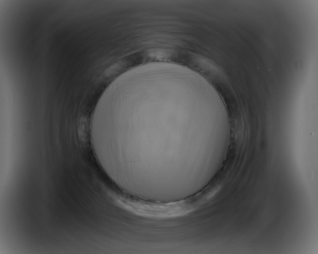 X0000087420036200705041316