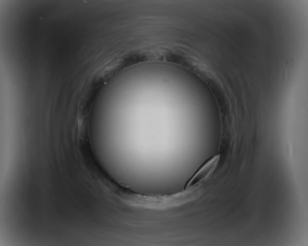 X0000087420037200705041316
