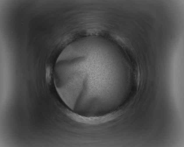 X0000087420038200705041316