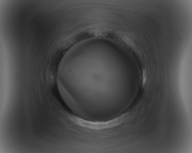 X0000087420039200705041316