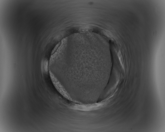 X0000087420041200705041316