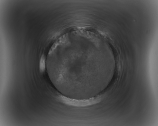 X0000087420042200705041316