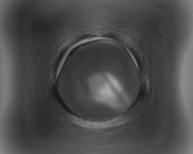 X0000087420043200705041316