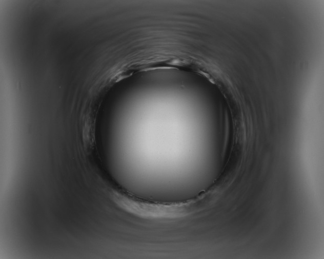 X0000087420044200705041316