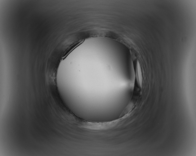 X0000087420045200705041316
