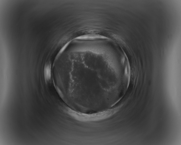 X0000087420046200705041316