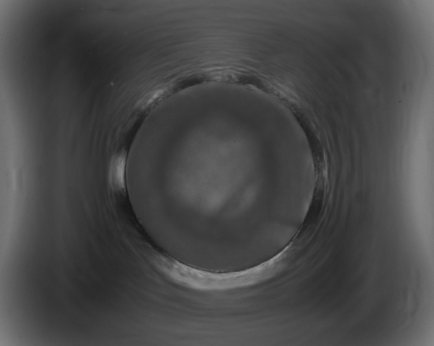X0000087420047200705041316