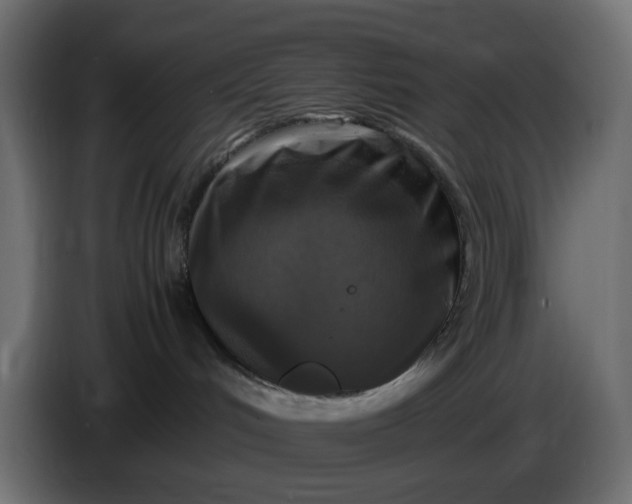 X0000087420048200705041316