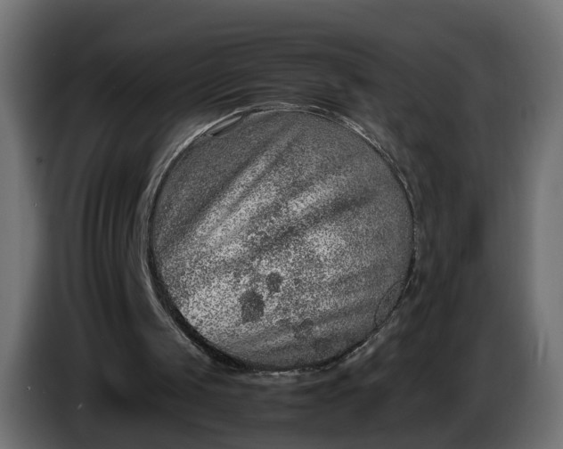 X0000087420049200705041316