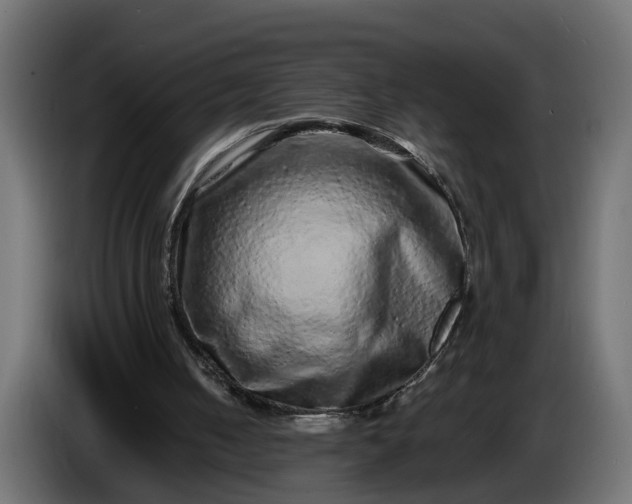 X0000087420050200705041316