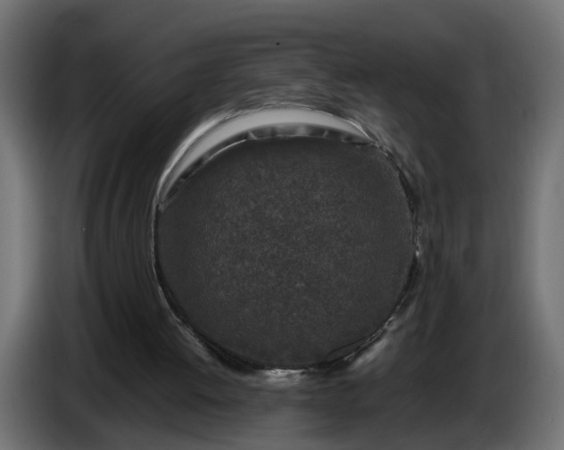 X0000087420052200705041316