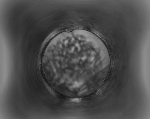 X0000087420053200705041316