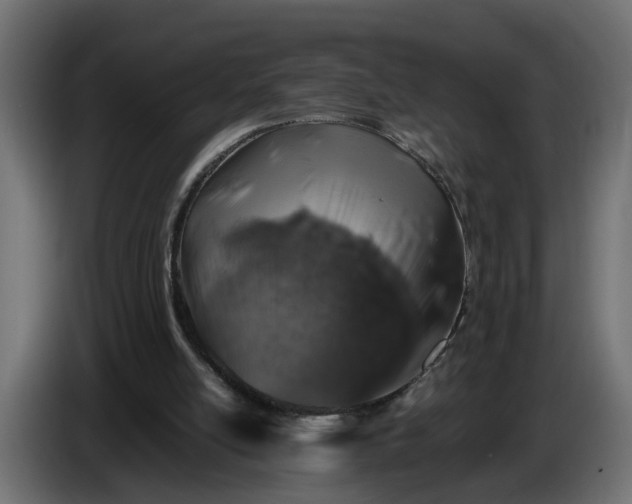 X0000087420054200705041316