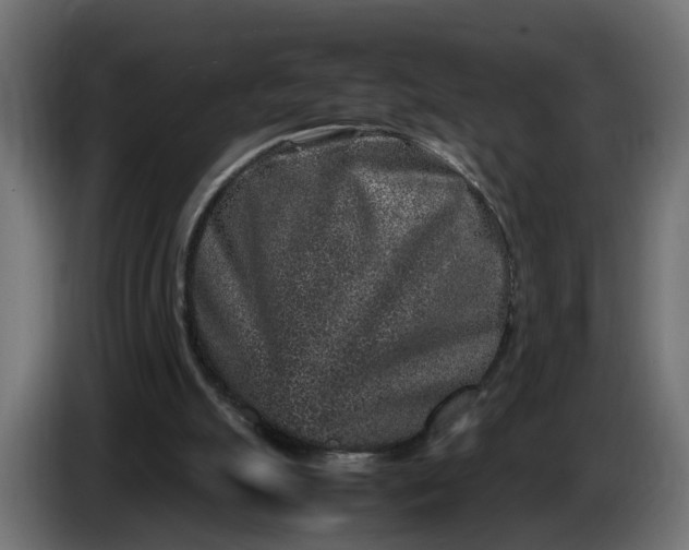 X0000087420055200705041316