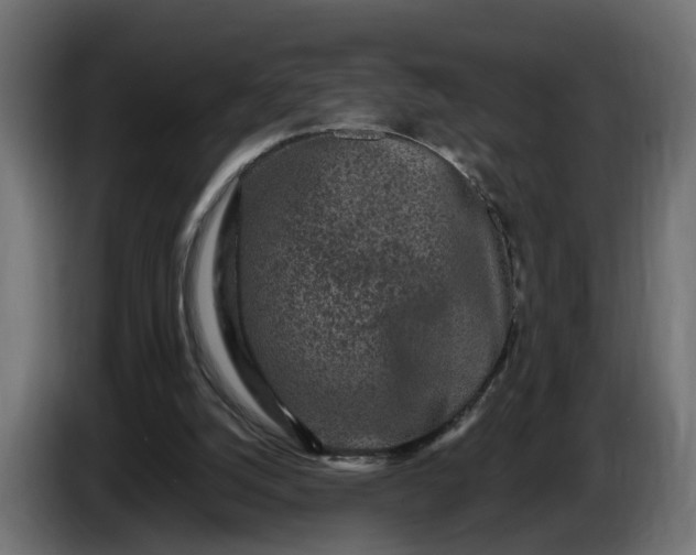 X0000087420056200705041316