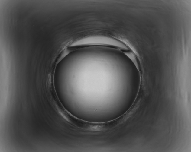 X0000087420057200705041316
