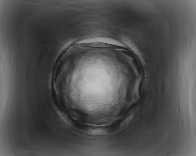 X0000087420058200705041316