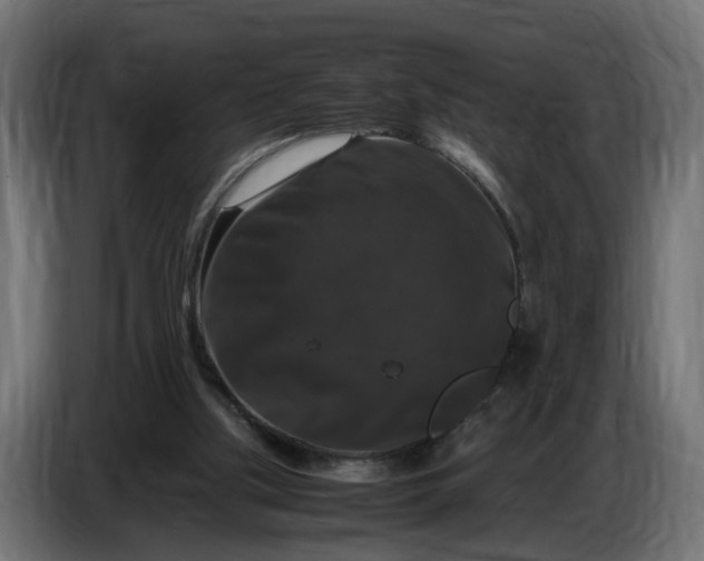 X0000087420059200705041316