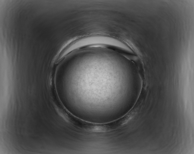X0000087420060200705041316