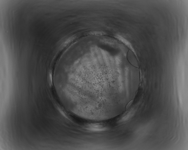 X0000087420061200705041316