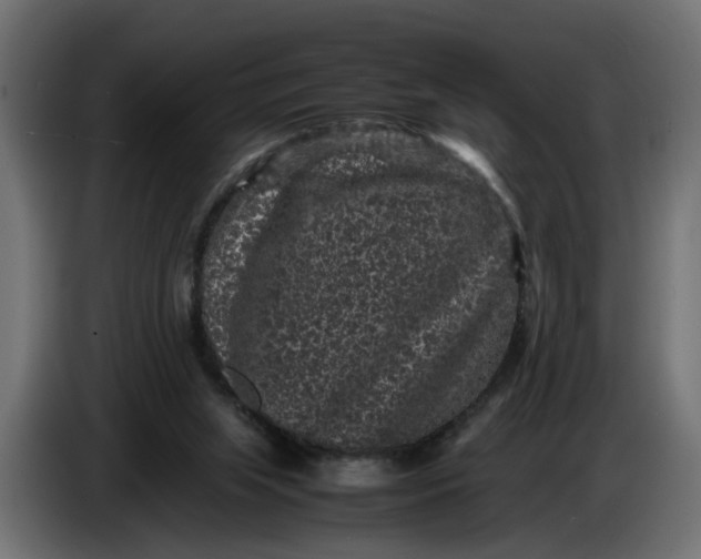 X0000087420063200705041316