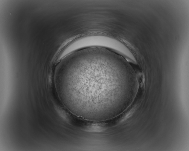 X0000087420064200705041316