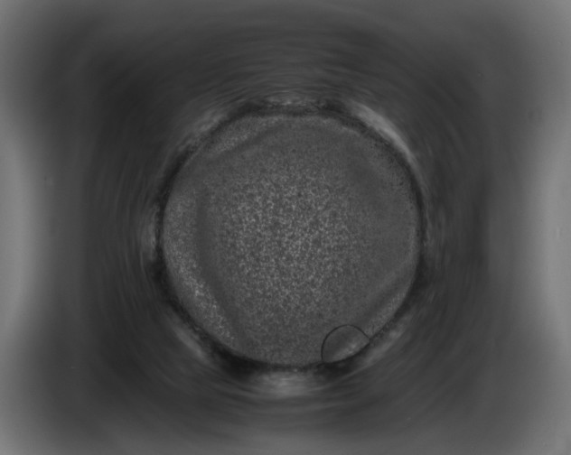 X0000087420065200705041316