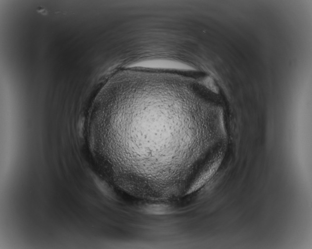 X0000087420066200705041316