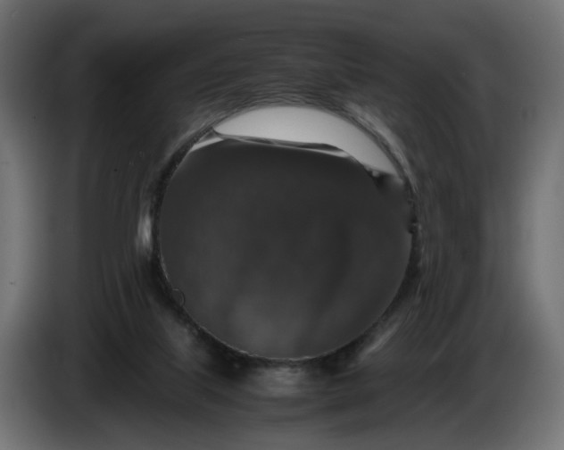 X0000087420067200705041316
