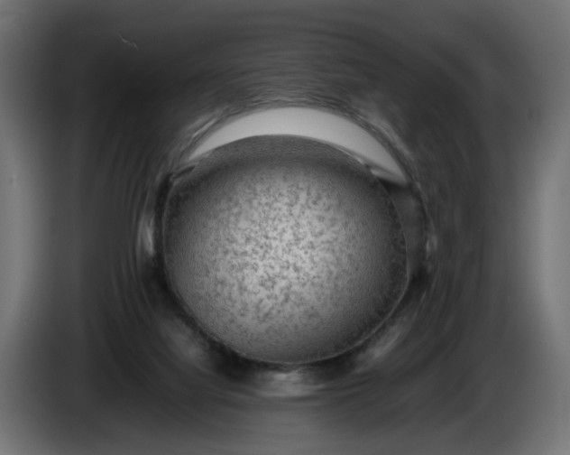X0000087420068200705041316