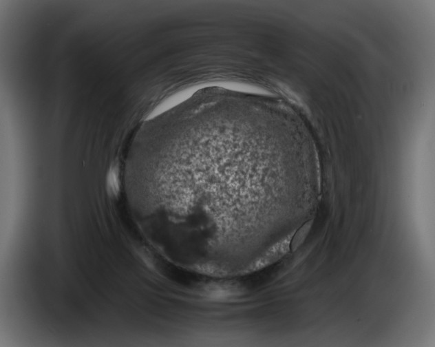 X0000087420069200705041316