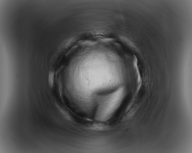 X0000087420070200705041316