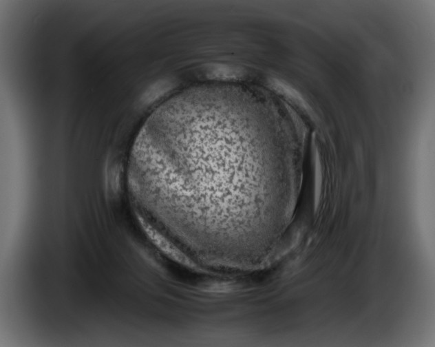 X0000087420071200705041316