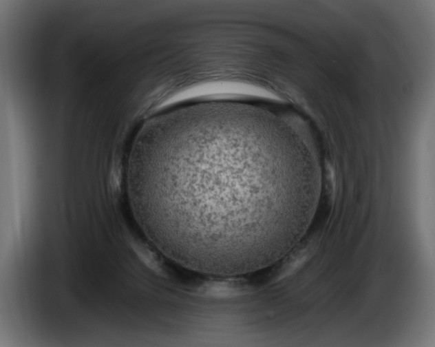 X0000087420072200705041316