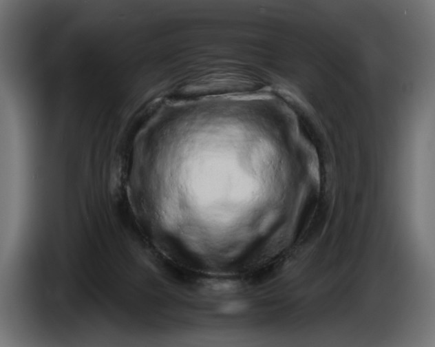 X0000087420073200705041316