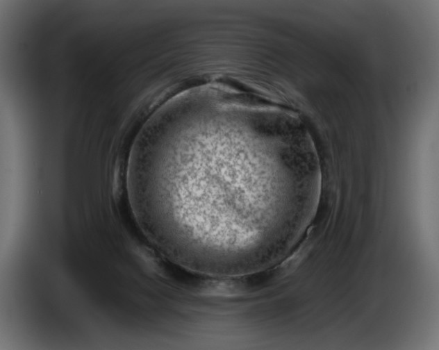 X0000087420074200705041316