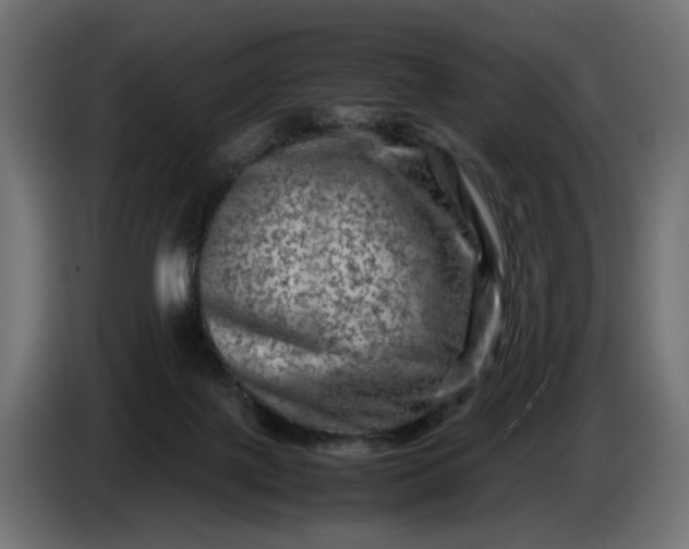 X0000087420075200705041316