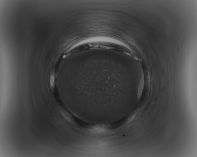 X0000087420076200705041316