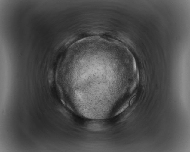 X0000087420077200705041316