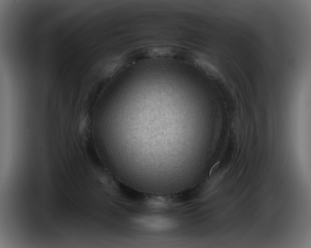 X0000087420079200705041316