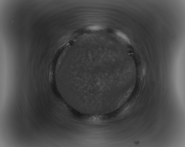X0000087420080200705041316