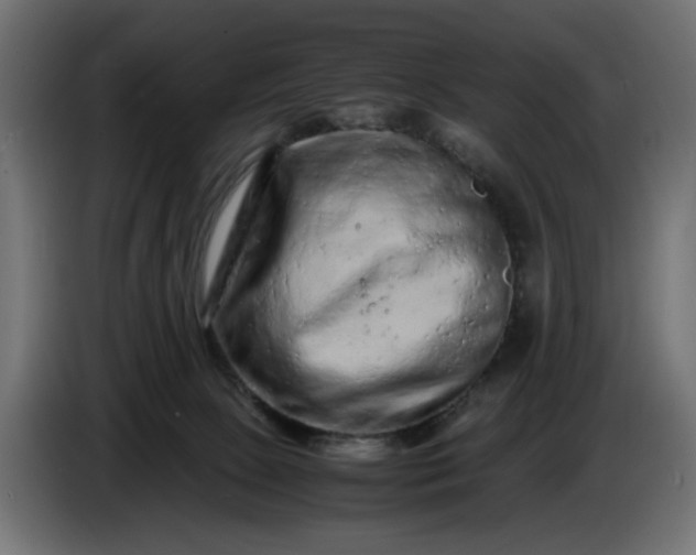 X0000087420081200705041316