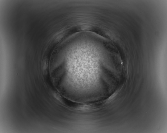 X0000087420082200705041316