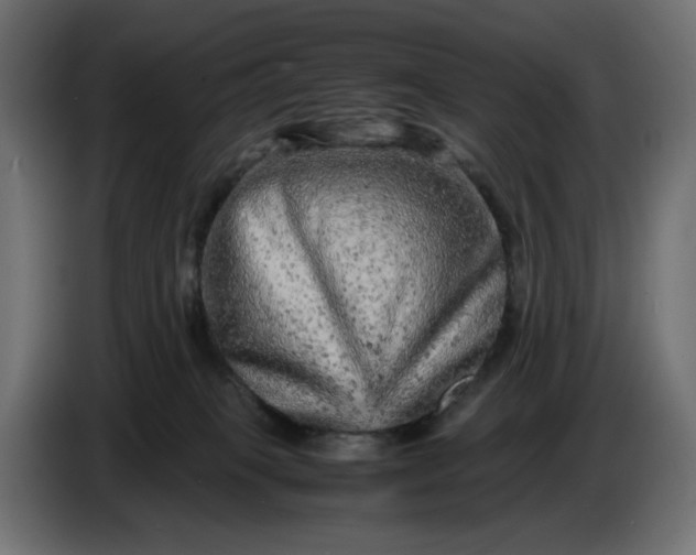 X0000087420085200705041316