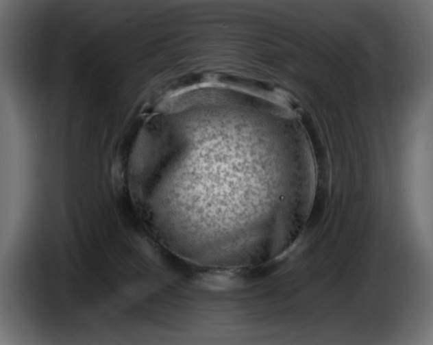 X0000087420086200705041316