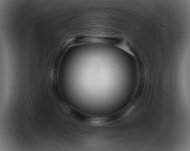 X0000087420088200705041316