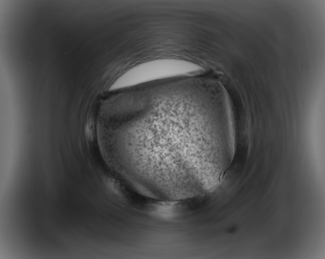 X0000087420090200705041316