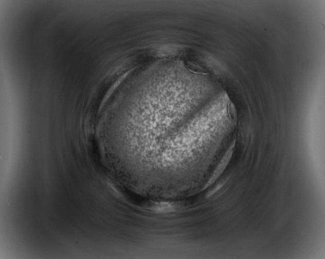 X0000087420091200705041316