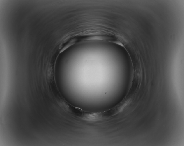 X0000087420092200705041316